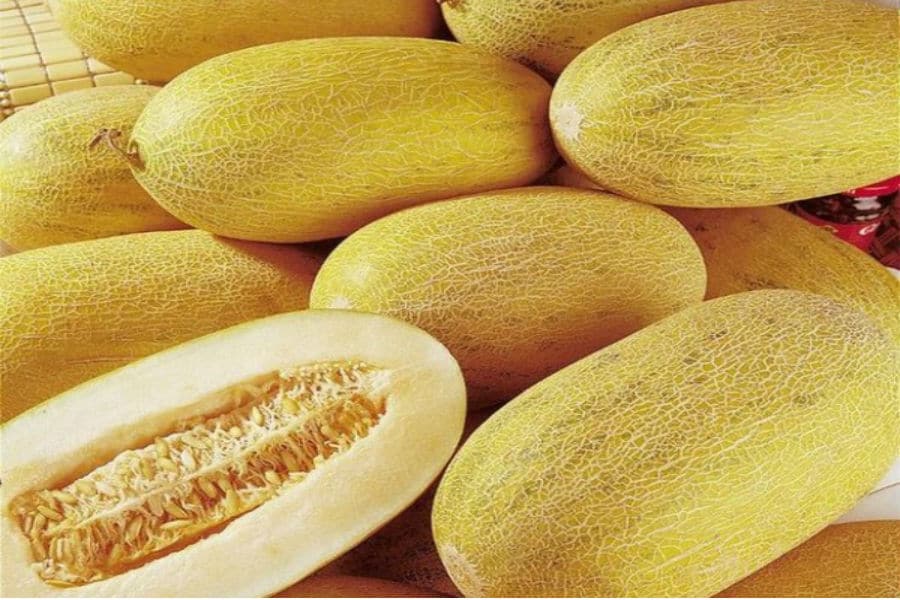 7.200 tấn dưa Trung Quốc tràn chợ: Coi chừng 3 loại dưa Tàu đội lốt hàng Việt 7.200 tấn dưa Trung Quốc tràn chợ: Coi chừng 3 loại dưa Tàu đội lốt hàng Việt