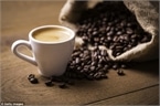 Giá cà phê hôm nay 22/8: Cà phê trong nước tăng nhẹ