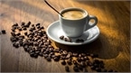 Giá cà phê hôm nay 21/8: Cà phê giữ giá, ít biến động