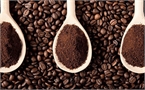 Giá cà phê hôm nay 17/9: Giảm 200 đồng/kg