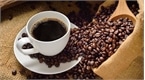 Giá cà phê hôm nay 24/9: Giá cà phê trong nước đứng yên
