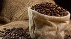 Giá cà phê hôm nay 17/10: Trên 37.000 đồng/kg