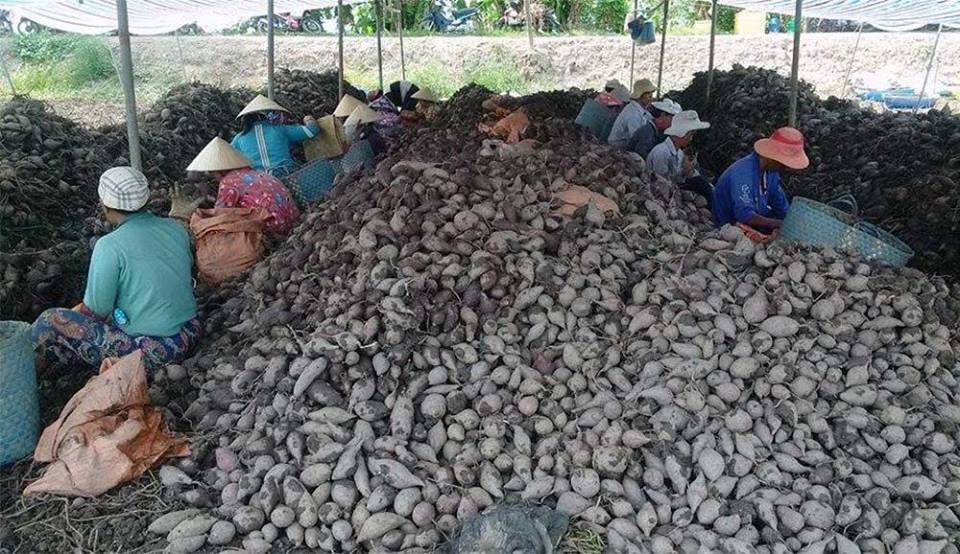 Nỗi lo Trung Quốc: Rơi nước mắt, biết làm gì ngoài lá đơn cầu cứu Nỗi lo Trung Quốc: Rơi nước mắt, biết làm gì ngoài lá đơn cầu cứu