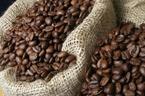 Giá cà phê hôm nay 5/10: Giá cà phê ít biến động