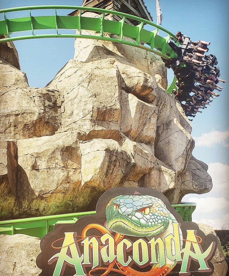 Santa Paws bonus game