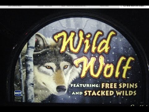 Casino gorila chief 2