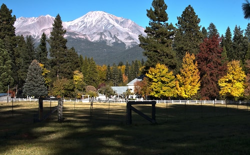 4 winning directions play for fun