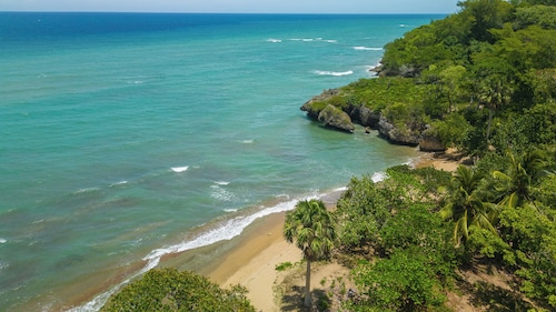 dolphins pearl fixed Slot Free Spins