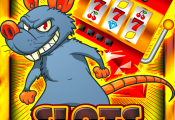 fifty 100 percent casino gnome free Revolves No deposit Canada Updated inside the March 2026