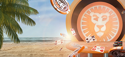 Toki Time online slot recension