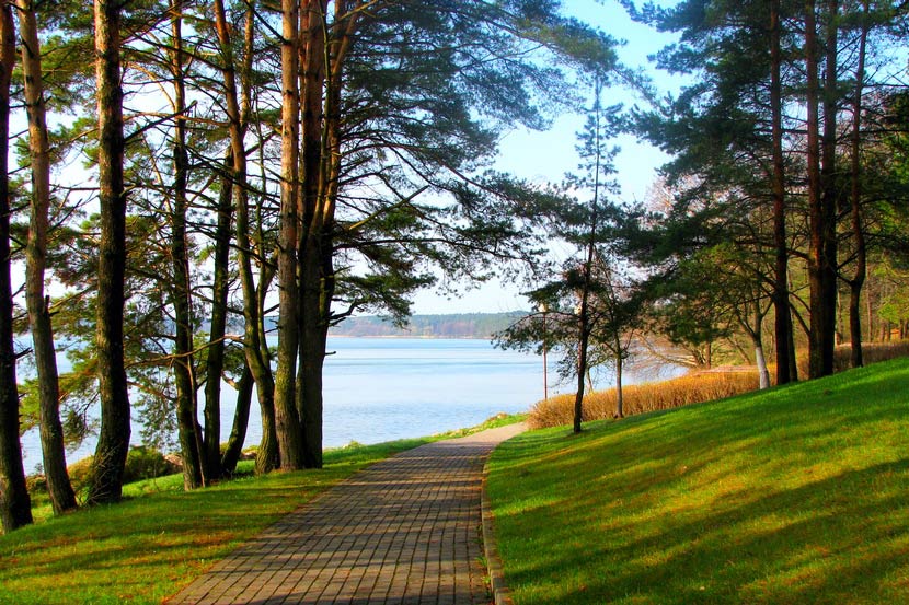 adventures in wonderland Ranura en línea