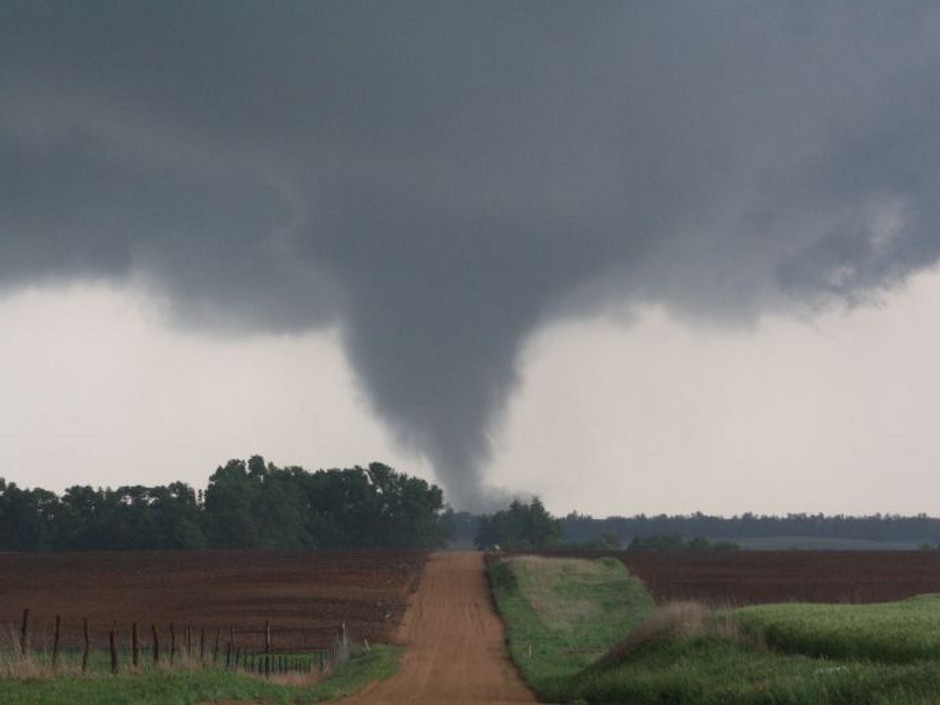 million dollar man Slot en línea