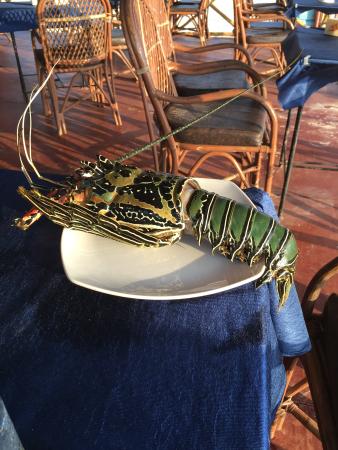 asgard slot no deposit bonus